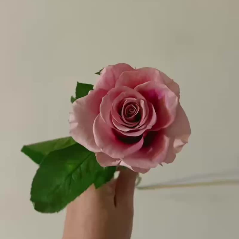 【花诉花艺】小王子与他的玫瑰玻璃盅/永生花礼/祝贺花礼/情人节 - 干燥花/捧花 - 植物．花 