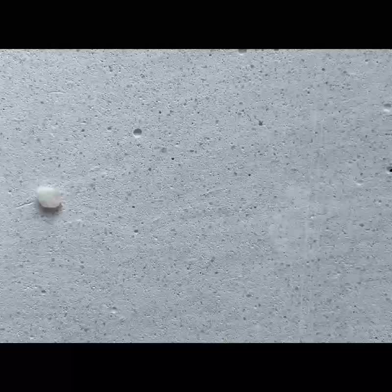 手环 月光石 珍珠 - 关心 - - 手链/手环 - 宝石 白色