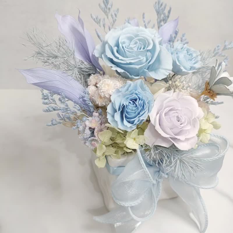 萝莎花儿 清澈感永生水蓝玫瑰 迷雾紫款 永生花 盆花 - 干燥花/捧花 - 植物．花 