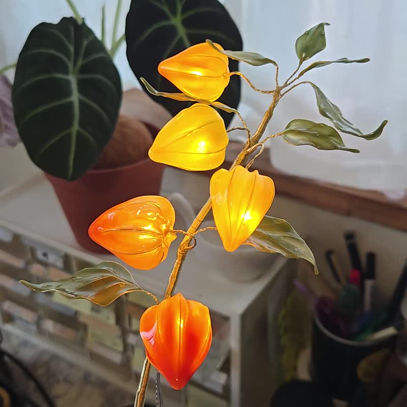 酸酱果 • 沾浸艺术花灯 【闲逛花间系列】小夜灯。生日礼物 - 灯具/灯饰 - 树脂 