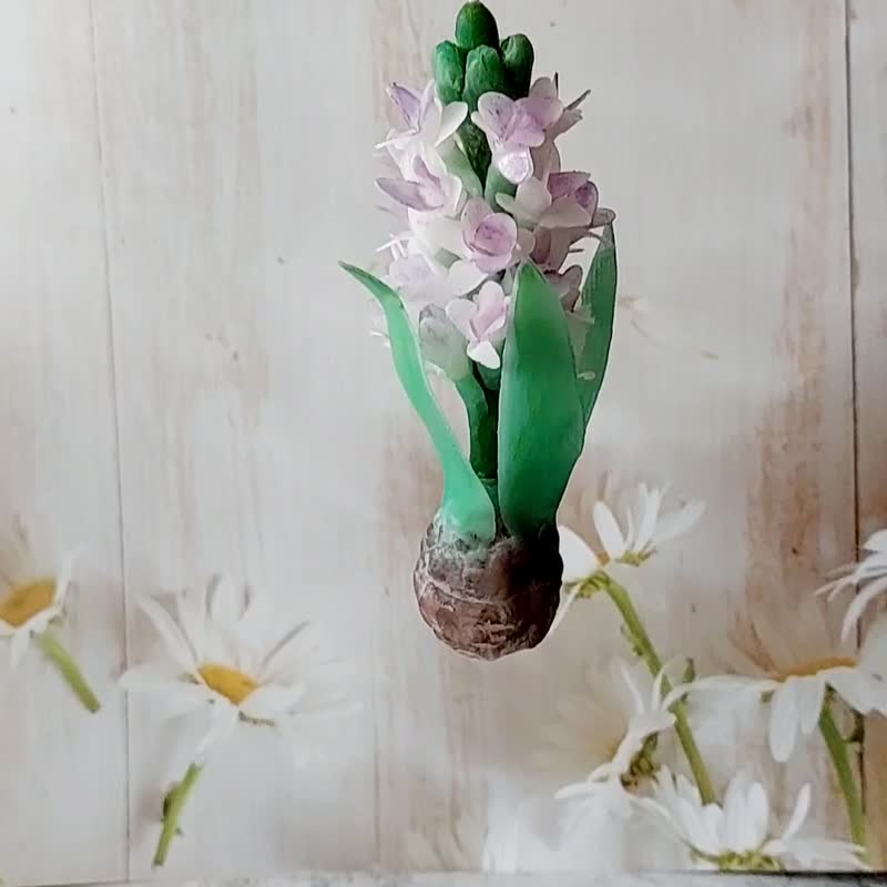 蜜蜡花课程 风信子 球根植物 1人开班 - 蜡烛/香氛 - 蜡 