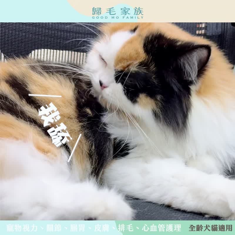【归毛家族】Good宝系列宠物保健品－酵素宝2入组 - 其他 - 其他材质 