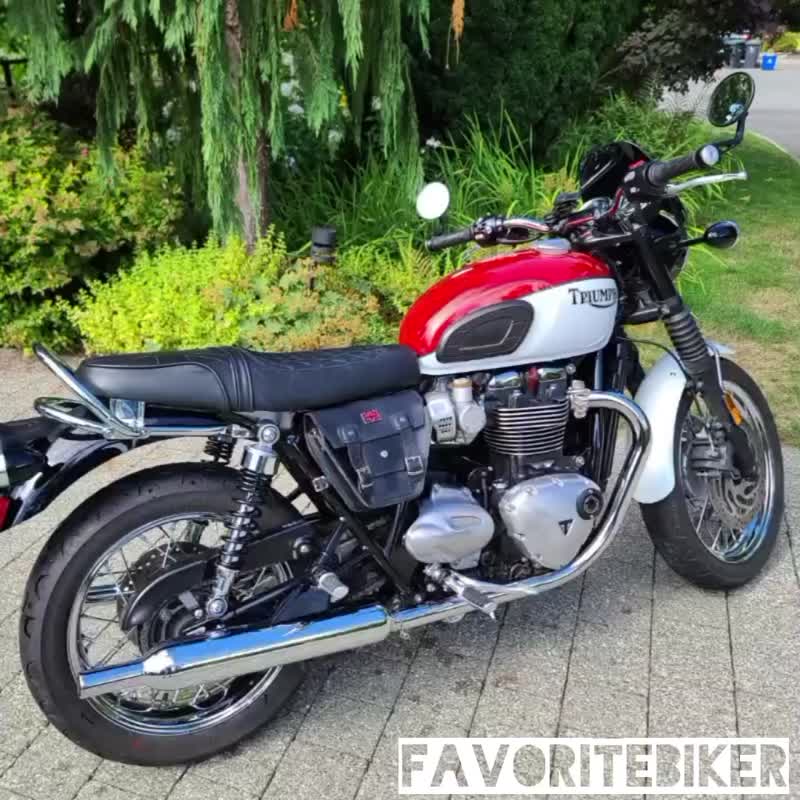 TRIUMPH (复古棕) 真皮侧袋适用于 T100, T120, Street Twin, Thruxton R - 侧背包/斜挎包 - 真皮 