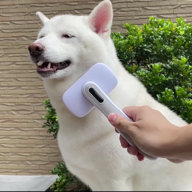 【不锈钢宠物刷毛梳】一键清洁 - 清洁/美容 - 塑料 白色