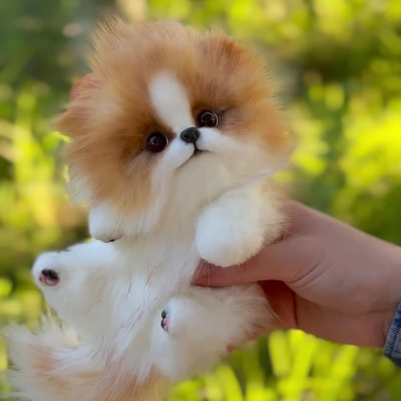博美犬小狗毛绒玩具娃娃 - 玩偶/公仔 - 环保材料 多色