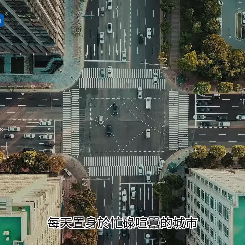 CARORI 香百年 森林之歌香膏-160g 固体扩香香膏 居家香氛扩香 - 香薰/精油/线香 - 其他材质 咖啡色