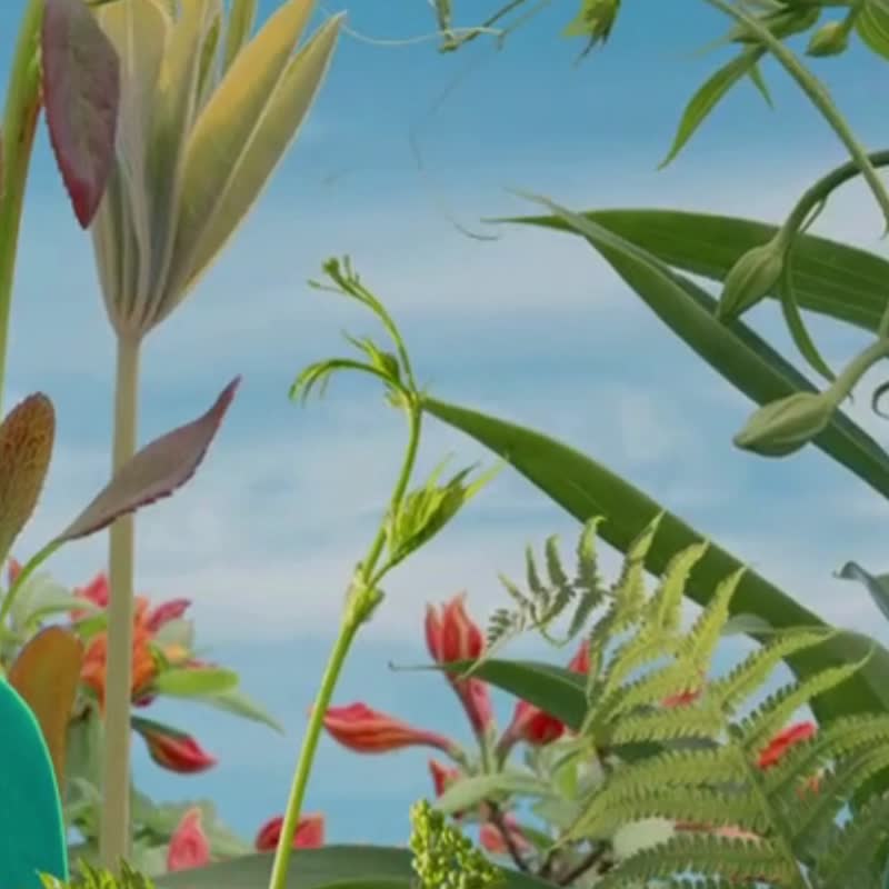 丛林游戏  |法式调香木质调 - 香薰/精油/线香 - 精油 黑色