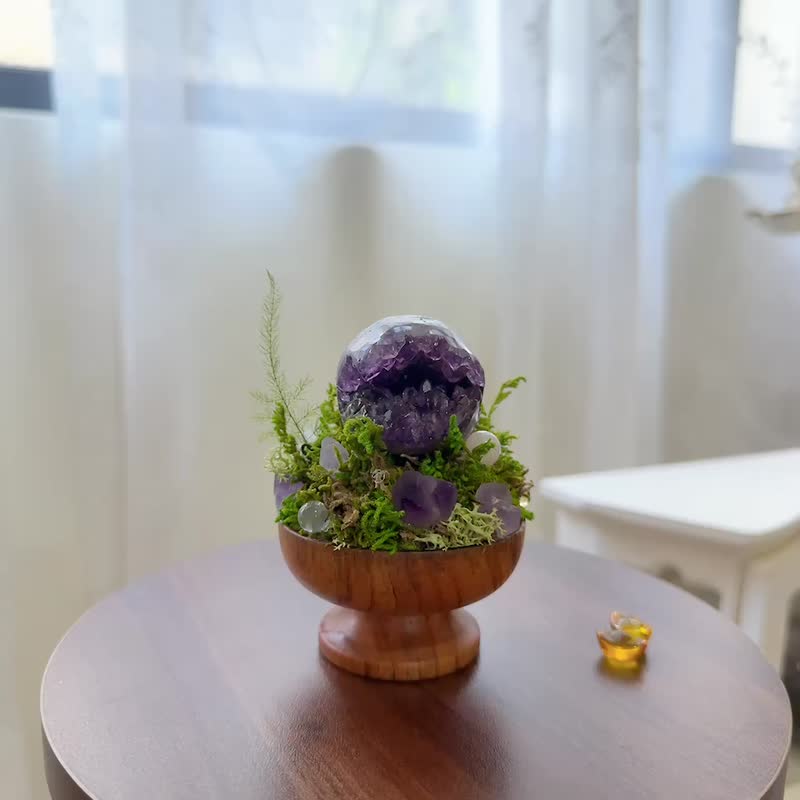 乌拉圭开口笑 紫水晶。小太阳 日日东升 永生绿植栽 - 植栽/盆栽 - 水晶 紫色