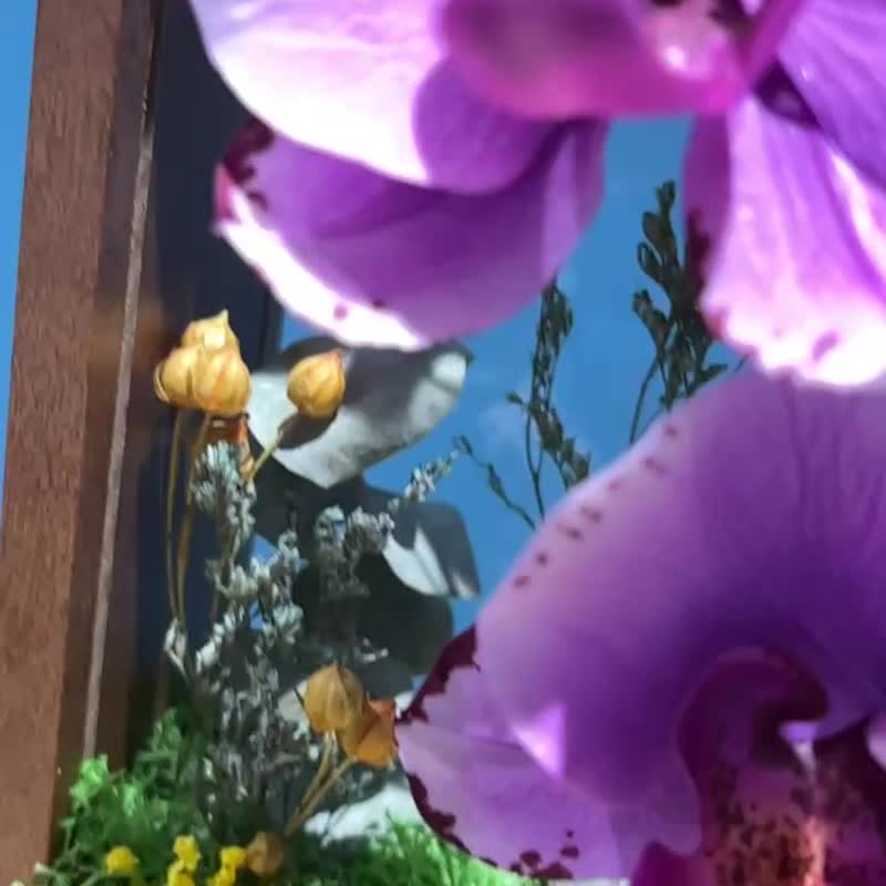 兔·喜兰  冷瓷蝴蝶兰与干花艺术设计作品 - 摆饰 - 粘土 多色