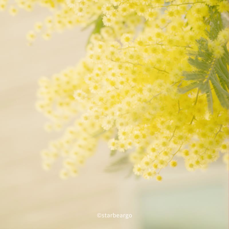 【定制化似颜绘喜帖】谢卡/喜饼卡/小卡/卡片/明信片/自备档印刷 - 卡片/明信片 - 纸 多色