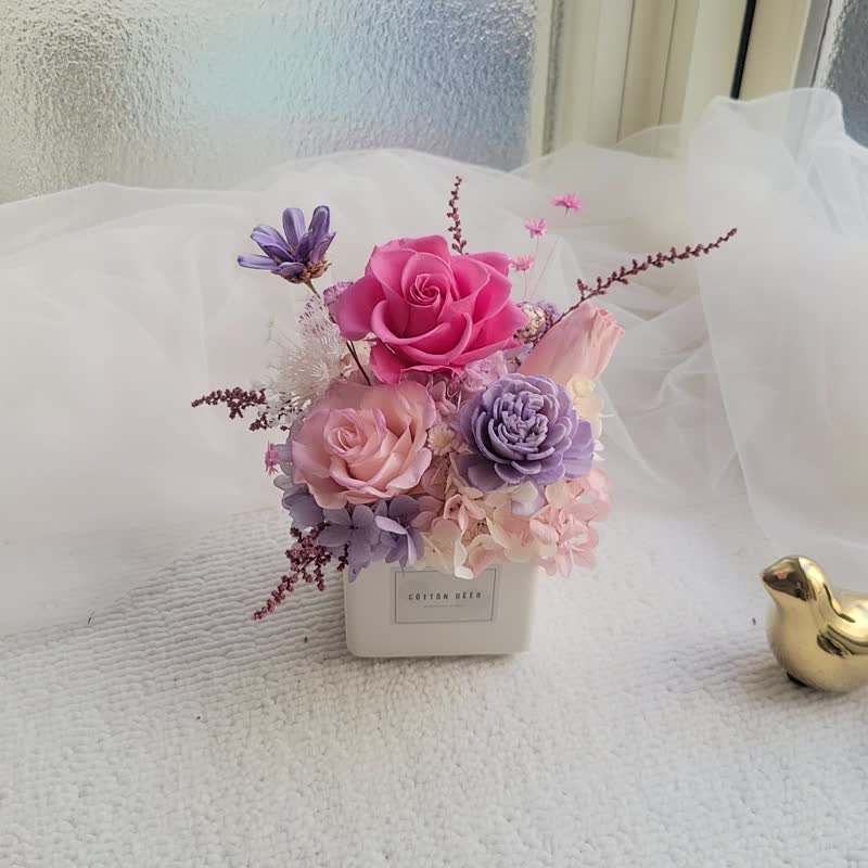 【现货】可爱永生小桌花。盆花。摆饰。附包装 - 干燥花/捧花 - 植物．花 