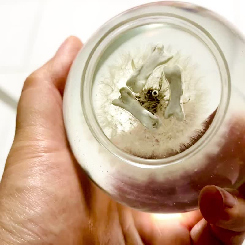 定制 宠物毛小夜灯 宠物毛 脐带 胎毛 永生花小夜灯 圣诞礼物 - 灯具/灯饰 - 树脂 多色