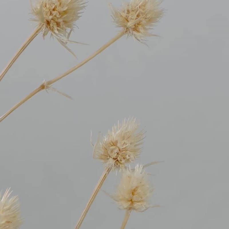 落叶珍珠10 K金项链 - 项链 - 贵金属 