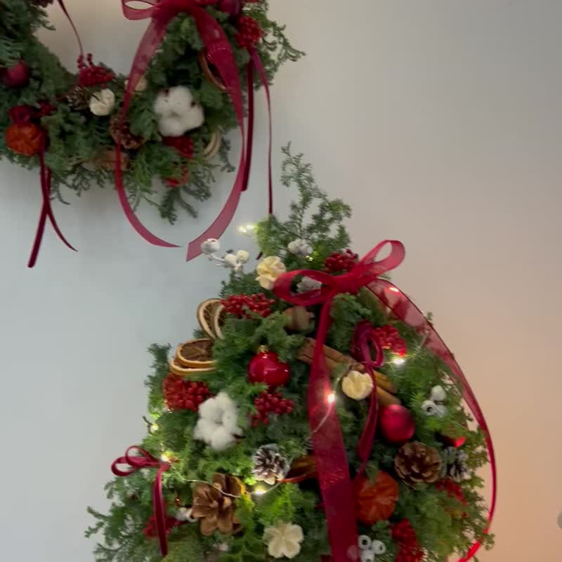 2023-新鲜雪松圣诞树-温馨红系列灯串 - 植栽 - 植物．花 绿色