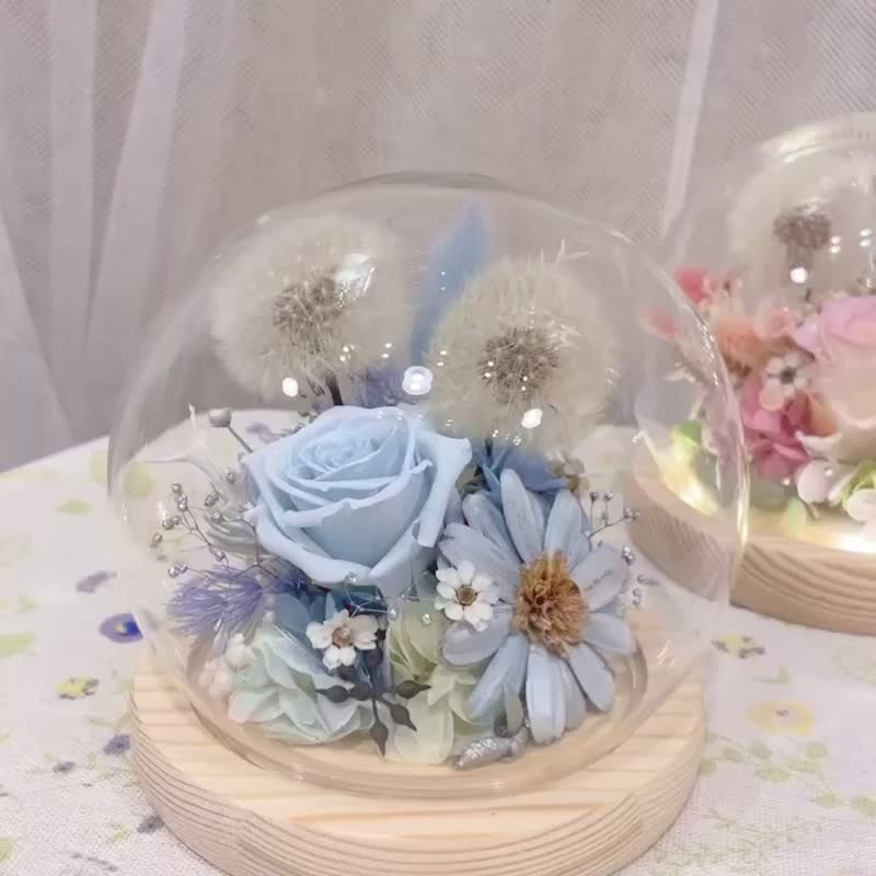 | 小梦境花艺 | 永生花蒲公英玫瑰 LED灯环底座 玻璃球 玻璃罩 - 干燥花/捧花 - 植物．花 白色