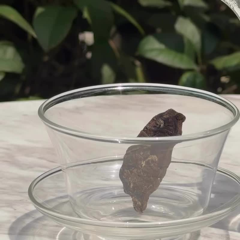 台湾造型茶砖礼盒 坪林包种茶 (6 入) 乌龙茶 伴手礼 新品 端午礼盒 - 茶 - 新鲜食材 卡其色