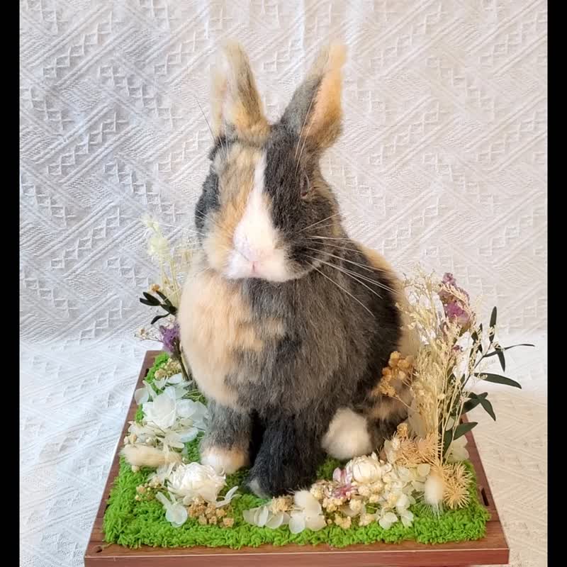 【客制羊毛毡】拟真兔 (15cm) - 订制抱枕/饰品 - 羊毛 白色
