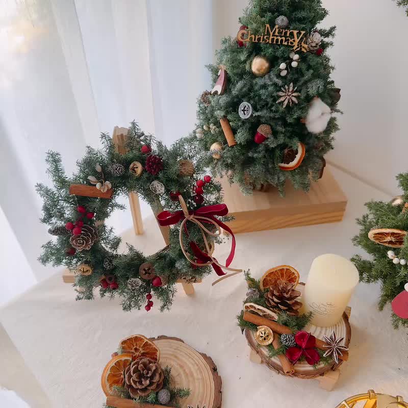 小型雪松圣诞树 圣诞节 永生雪松 圣诞树 永生花 - 干燥花/捧花 - 植物．花 