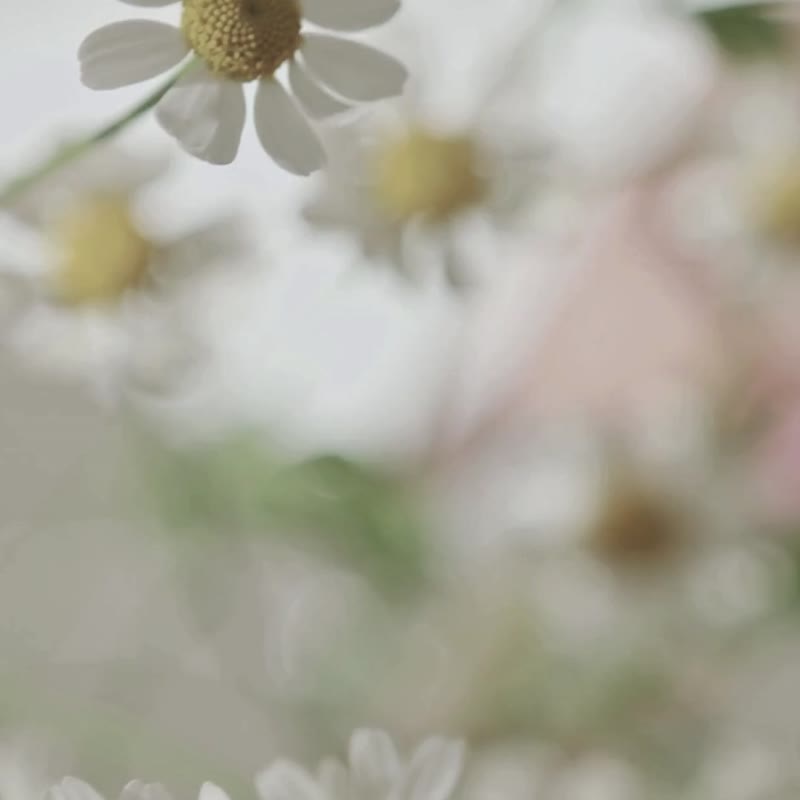 泰国BHAWA SPA専用 护手霜 30g 4种香味 - 手足保养 - 精油 