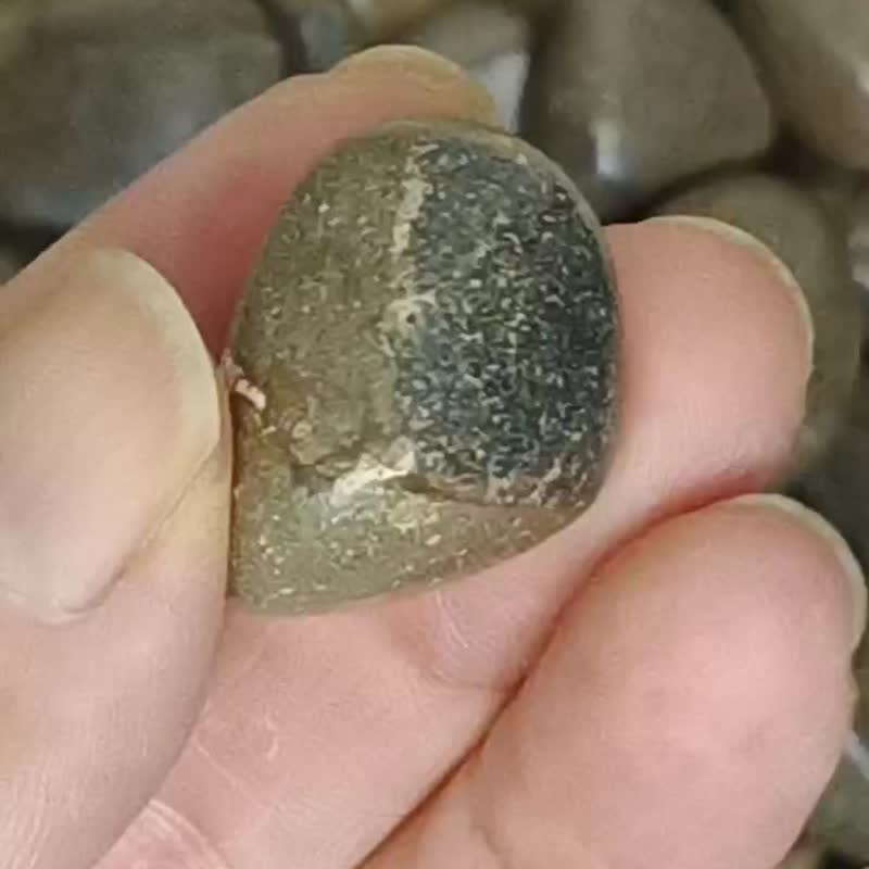 龟背石滚石/龟甲石SPETARIA/疗愈石/矿石/脉轮石/冥想石/宠物疗愈 - 摆饰 - 水晶 