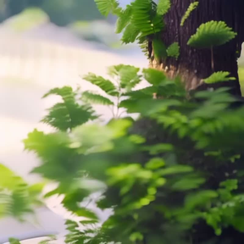 蕨印不锈钢保温瓶 - 亚洲猴脑鹿角蕨 | 随行杯 环保 毕业 礼物 - 保温瓶/保温杯 - 不锈钢 