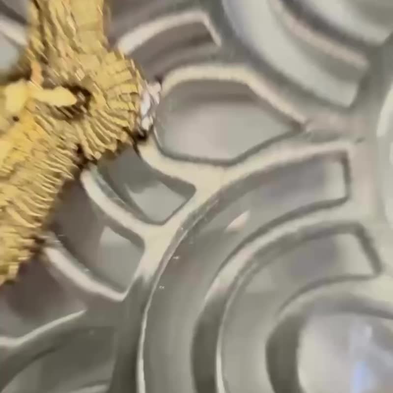 SOULITE Eagle Vibes S AirPods 4 耳机壳 - 其他 - 不锈钢 