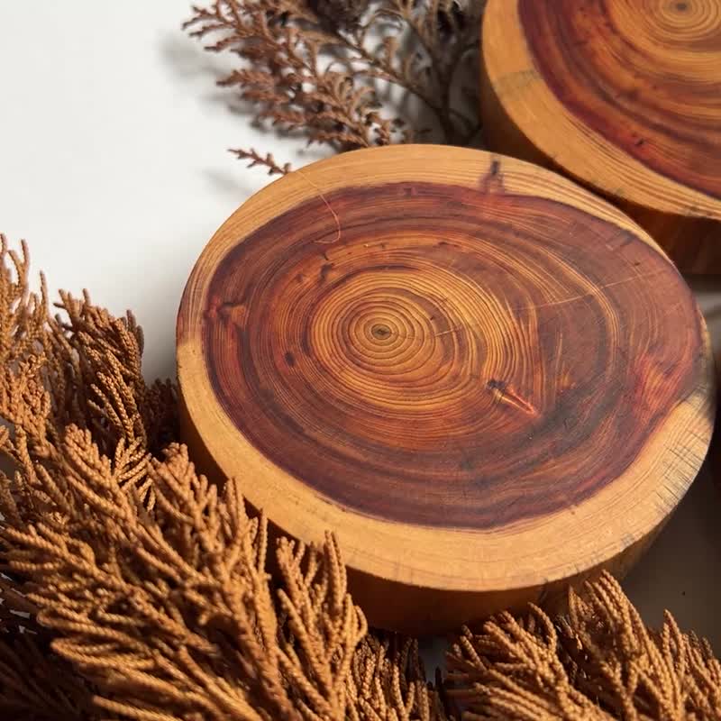 台湾杉老木年轮纹圆形杯垫 - 杯垫 - 木头 