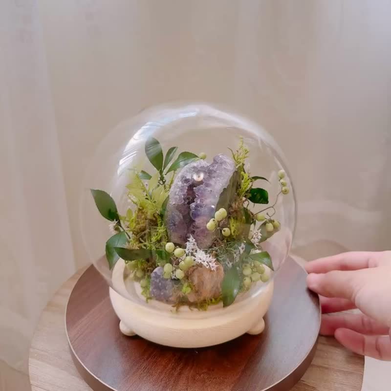 开天辟地 勇气_紫水晶洞 永生叶材 玻璃罩 微景观绿植栽 - 植栽/盆栽 - 植物．花 绿色