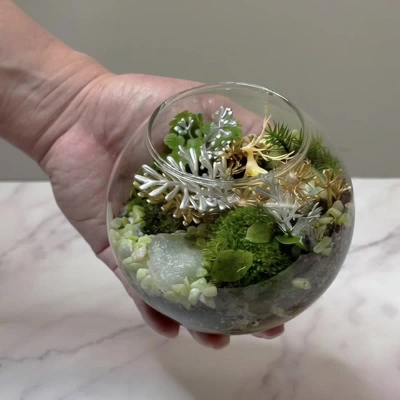 金林鹿鸣 / 主题性定制化造景生态缸 - 植栽/盆栽 - 植物．花 