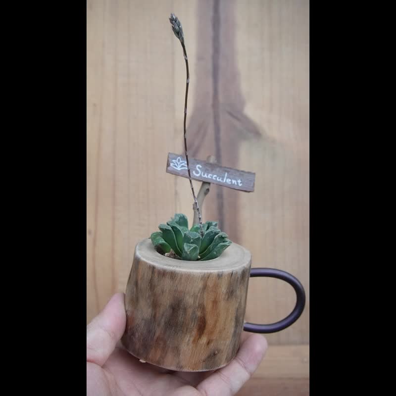 多肉咖啡杯...再忙---也要和你喝杯咖啡/绿设工作室 - 植栽/盆栽 - 木头 