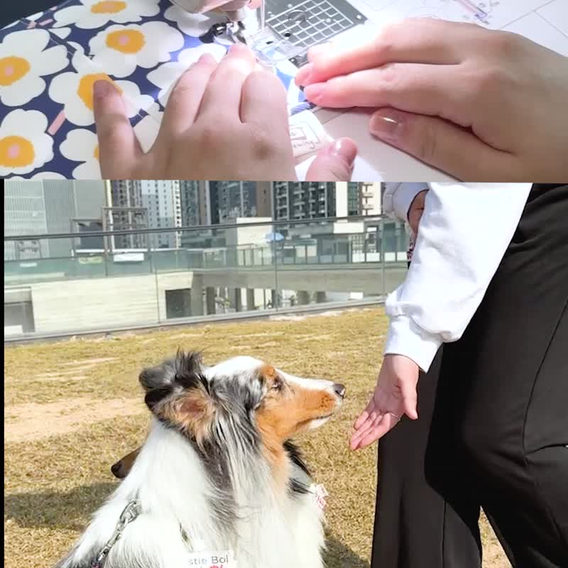 随身宠物零食袋(连零食) | 小白菊 - 订制抱枕/饰品 - 防水材质 蓝色