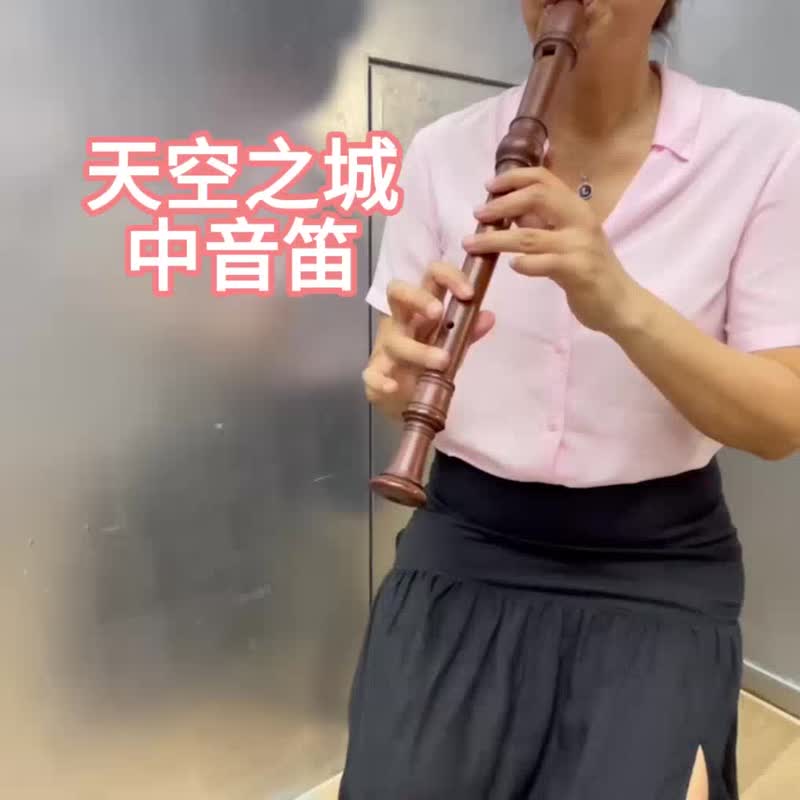 学会用中音直笛演奏天空之城  感受音乐的魔力 - 线上课程/教学影片 - 其他材质 