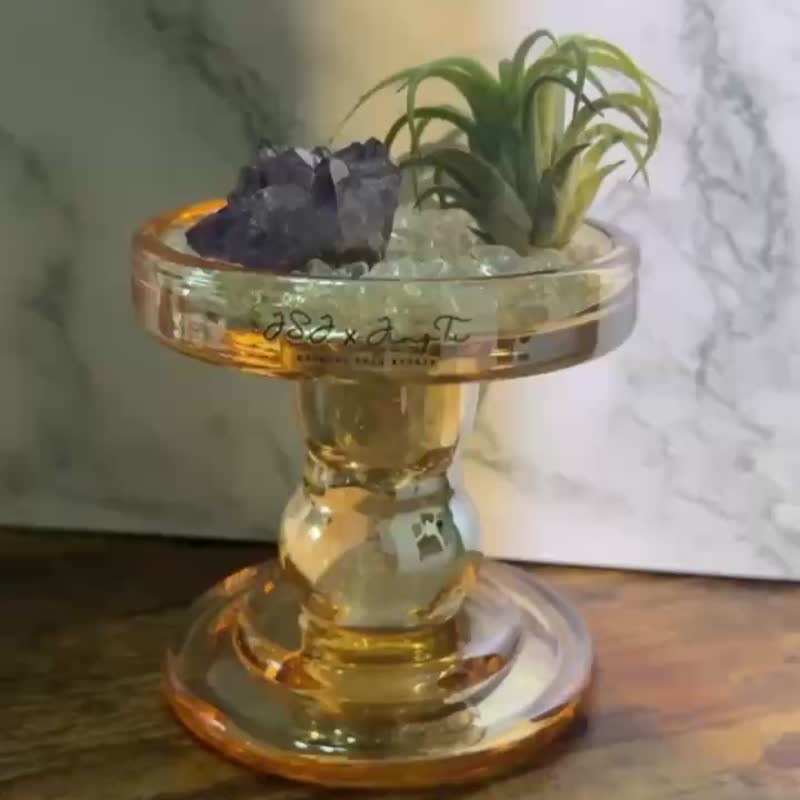 JINGTU 晶植森语 水晶 植栽 空气凤梨疗愈 居家装饰 七夕 送礼 - 植栽/盆栽 - 植物．花 绿色