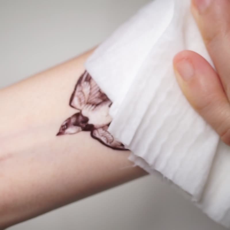 手绘唯美动物纹身贴纸经典燕子插画飞鸟刺青自由自在飞翔夏天小物 - 纹身贴 - 纸 多色