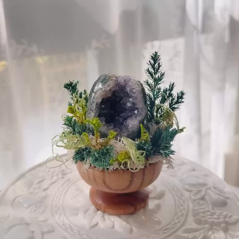 紫水晶 晶镇 窝窝 迷你小财库。 微景观永生叶材 绿植栽 - 植栽/盆栽 - 水晶 紫色