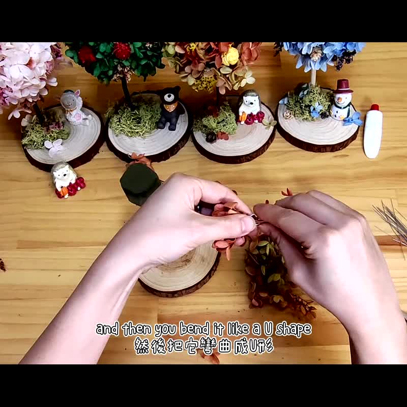 【DIY圣诞礼盒】四季永生花树DIY课程-夏 在线教学+材料包 - 植栽 - 植物．花 