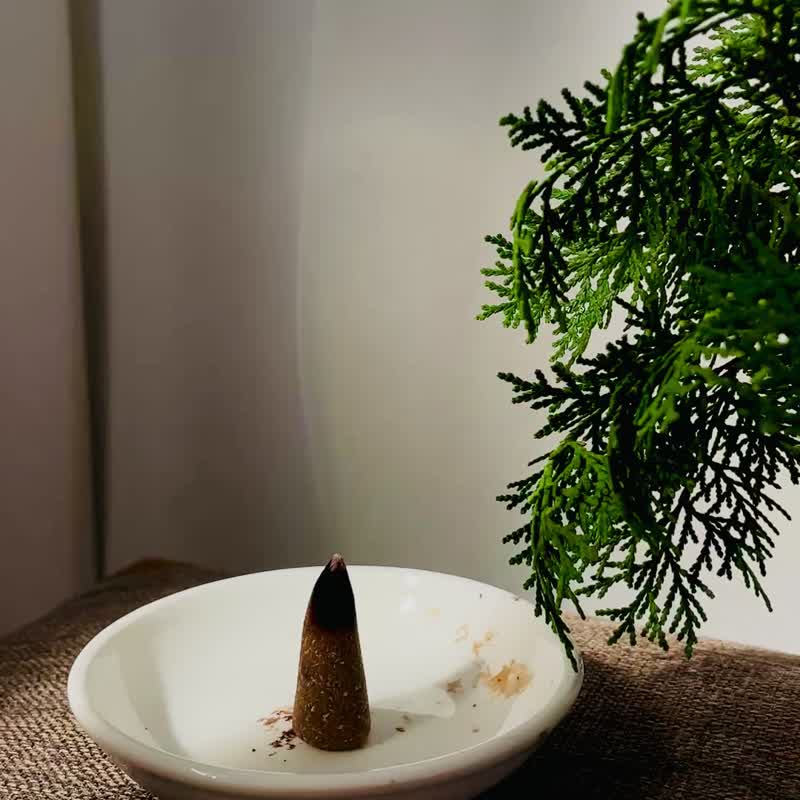 天然草本植物侧柏叶 手作合香【锥香 森呼吸】疗愈系 空间净化 - 香薰/精油/线香 - 其他材质 