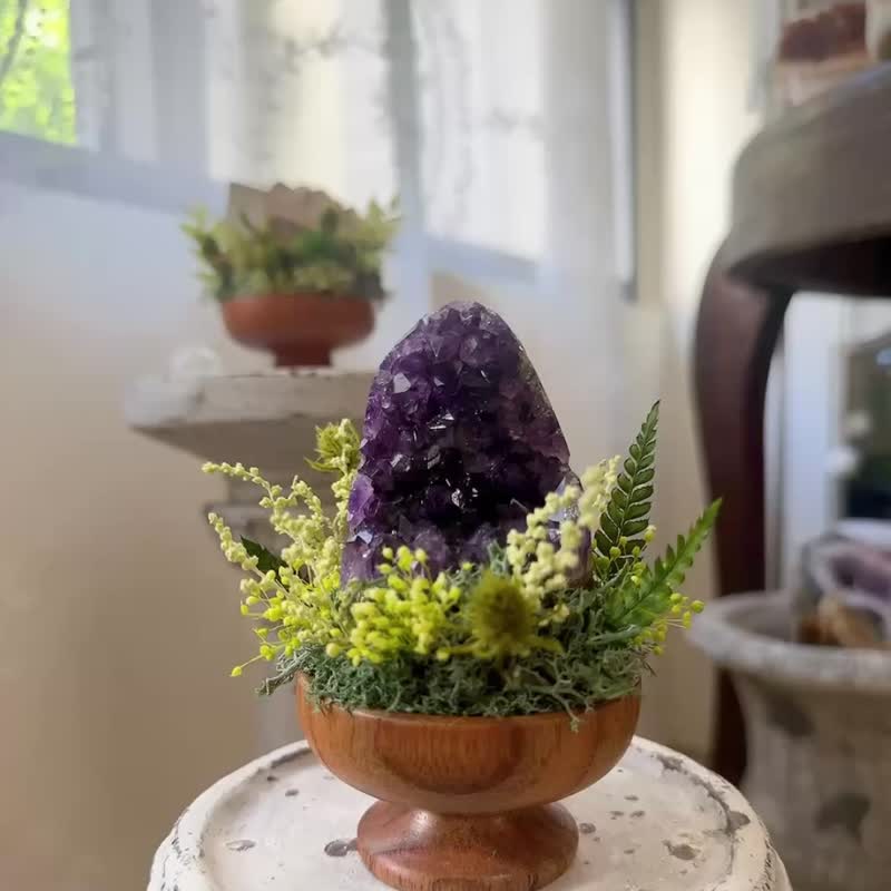 帝王紫 紫水晶 晶镇 。 微景观永生叶材 绿植栽 - 植栽/盆栽 - 水晶 紫色
