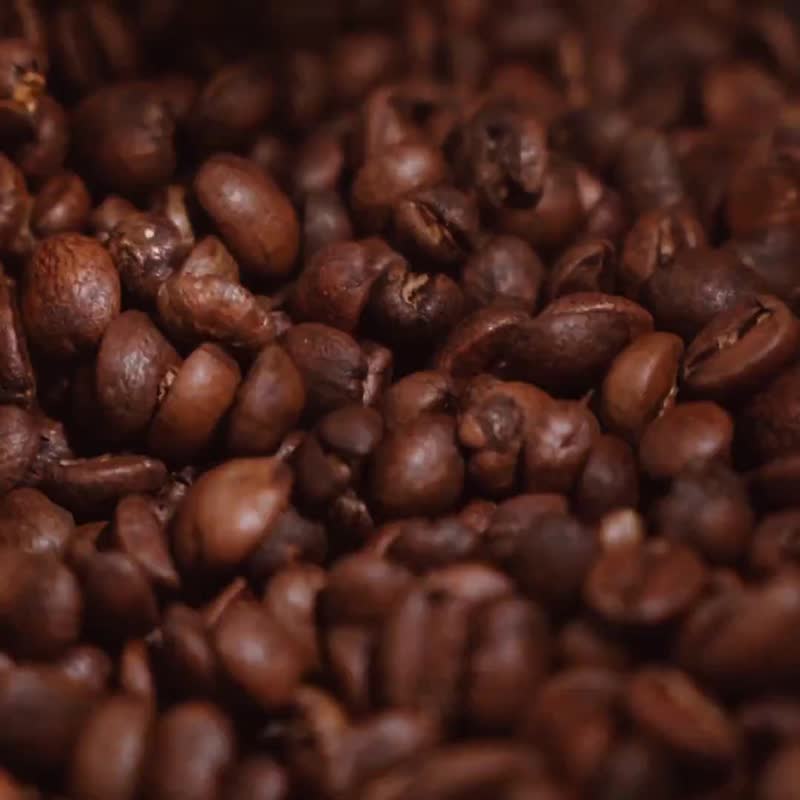 乐步埃塞俄比亚 西达马 班莎镇 玫瑰双重厌氧蜜处理 G1 - 咖啡 - 新鲜食材 