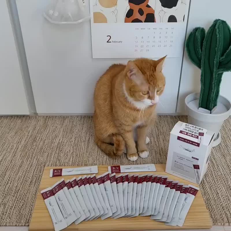 猫用 A/a挑食名家肉泥条 促进食欲 10gX30 无胶 无乳化剂 - 猫罐头/鲜食 - 其他材质 白色