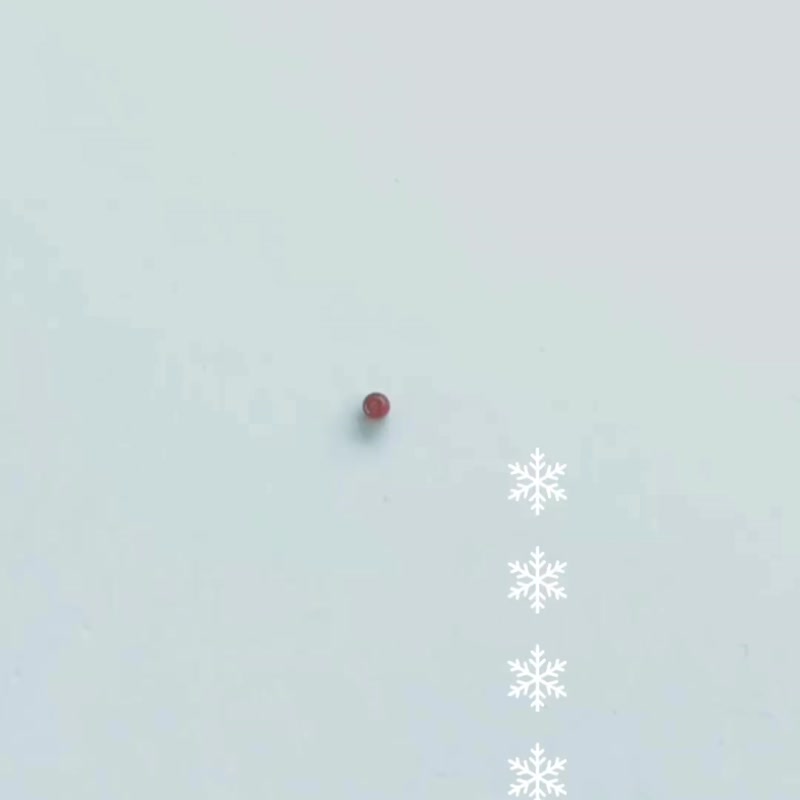 *P e t a l s*  Earrings 耳环 - 耳环/耳夹 - 其他材质 白色