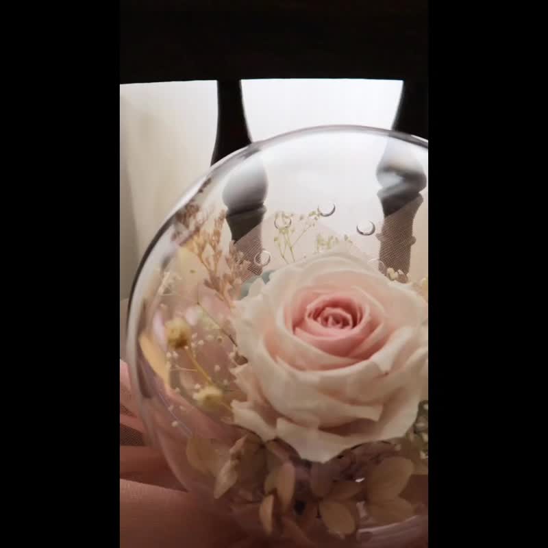 华丽芭蕾永生花波波花束 - 干燥花/捧花 - 植物．花 