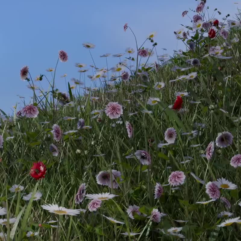 OVERDIGI X 丽莎和卡斯柏 iPhone17/16/15 Pure 晶透抗黄防摔手机 - 手机壳/手机套 - 塑料 