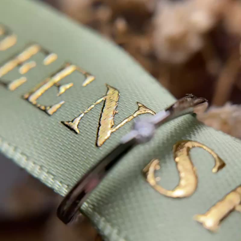 闪耀恒星 - 14k金单钻戒 - 戒指 - 钻石 