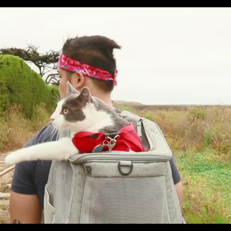 TRAVELCAT 猫旅行大猫肥猫专用宠物后背包 敞篷全景窗-大猫款 - 外出包 - 聚酯纤维 