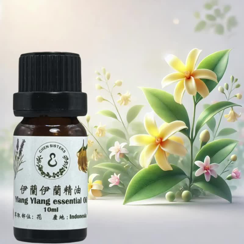 花香调纯精油 100%单方精油 依兰依兰 10ml/50ml 赠玫瑰扩香石 - 香薰/精油/线香 - 精油 白色