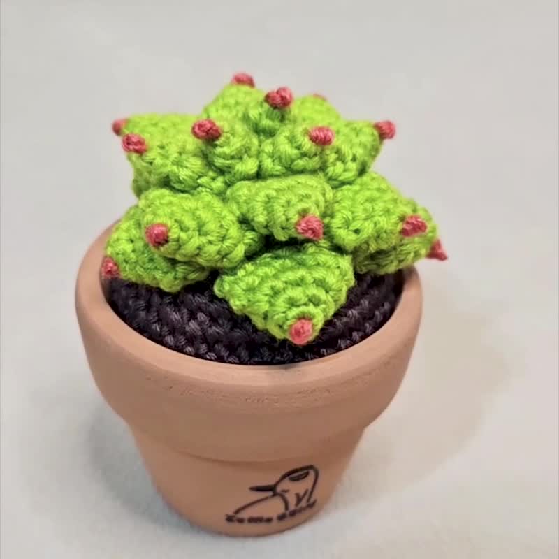 多肉植物 石莲花-手作编织植物 - 植栽/盆栽 - 绣线 绿色