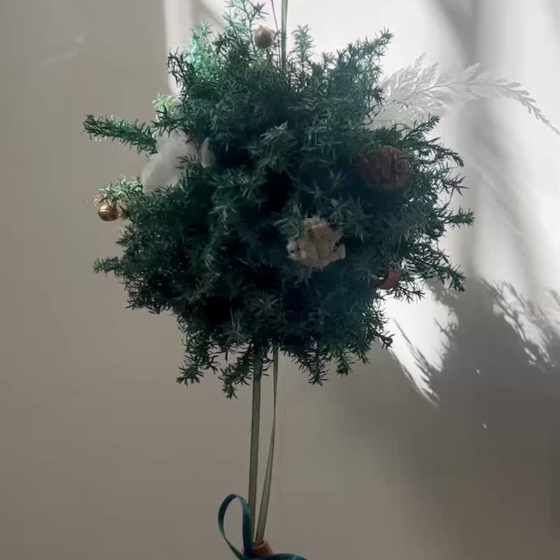 冬之铃 永生雪松圣诞松球 - 干燥花/捧花 - 植物．花 