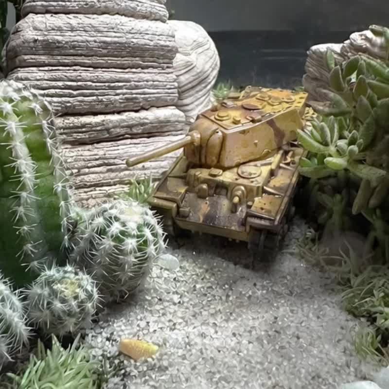 沙狐之影 / 手工定制化微景观生态盆 - 植栽/盆栽 - 植物．花 