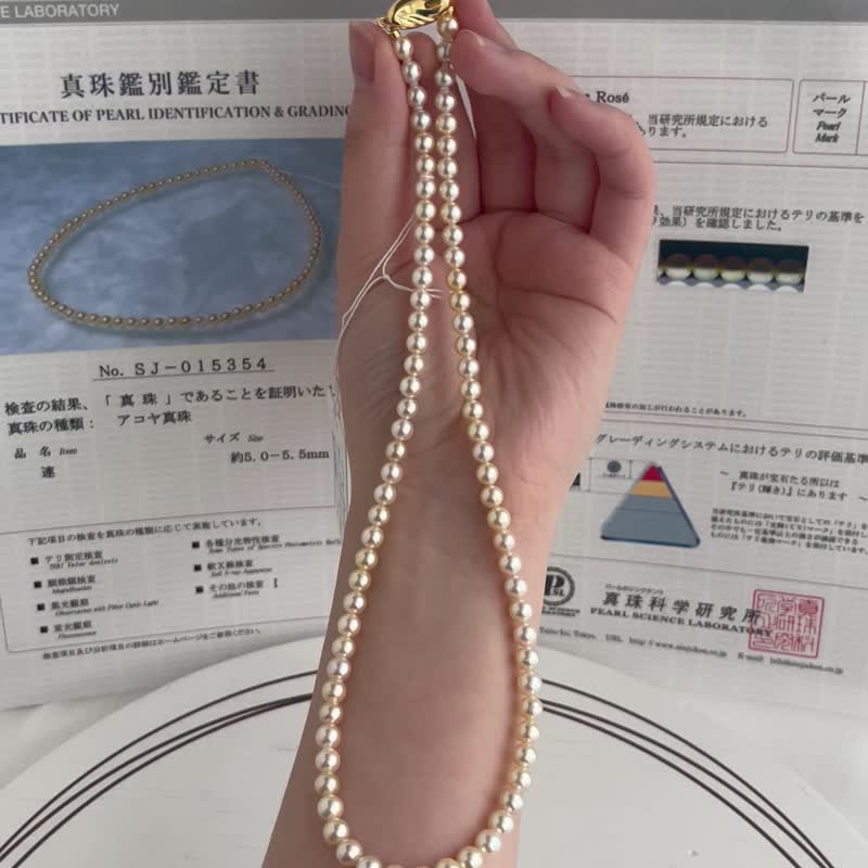 日本直送 珍珠科学研究所 极光玫瑰 最强光泽 5mm Akoya珍珠项链 - 项链 - 珍珠 白色